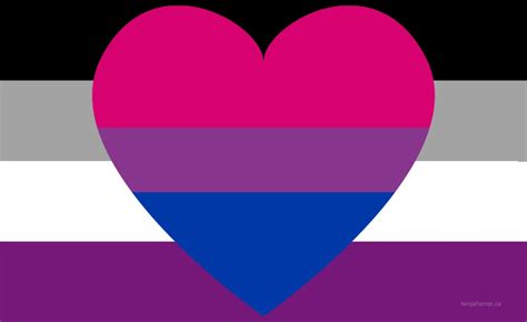 asexual biromantic|Understanding The Biromantic Asexual